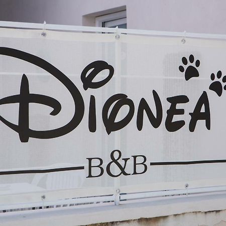 B&B Dionea Santa Maria di Castellabate Ngoại thất bức ảnh